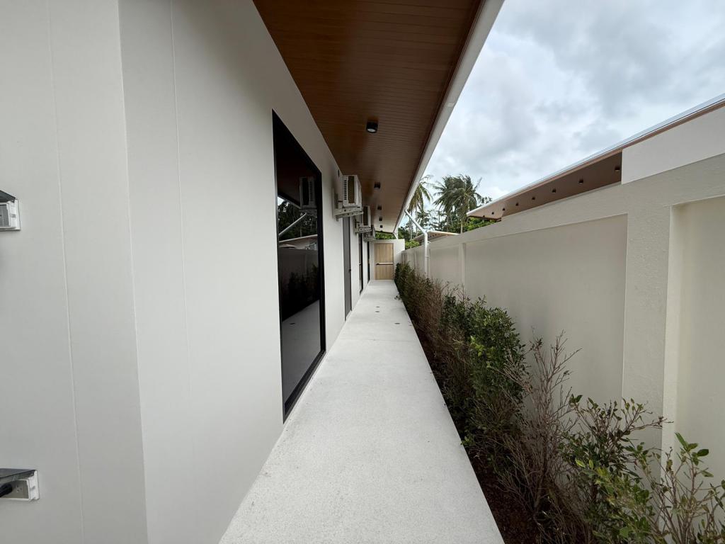 mini_WhatsApp Image 2026-02-18 at 14.05.27