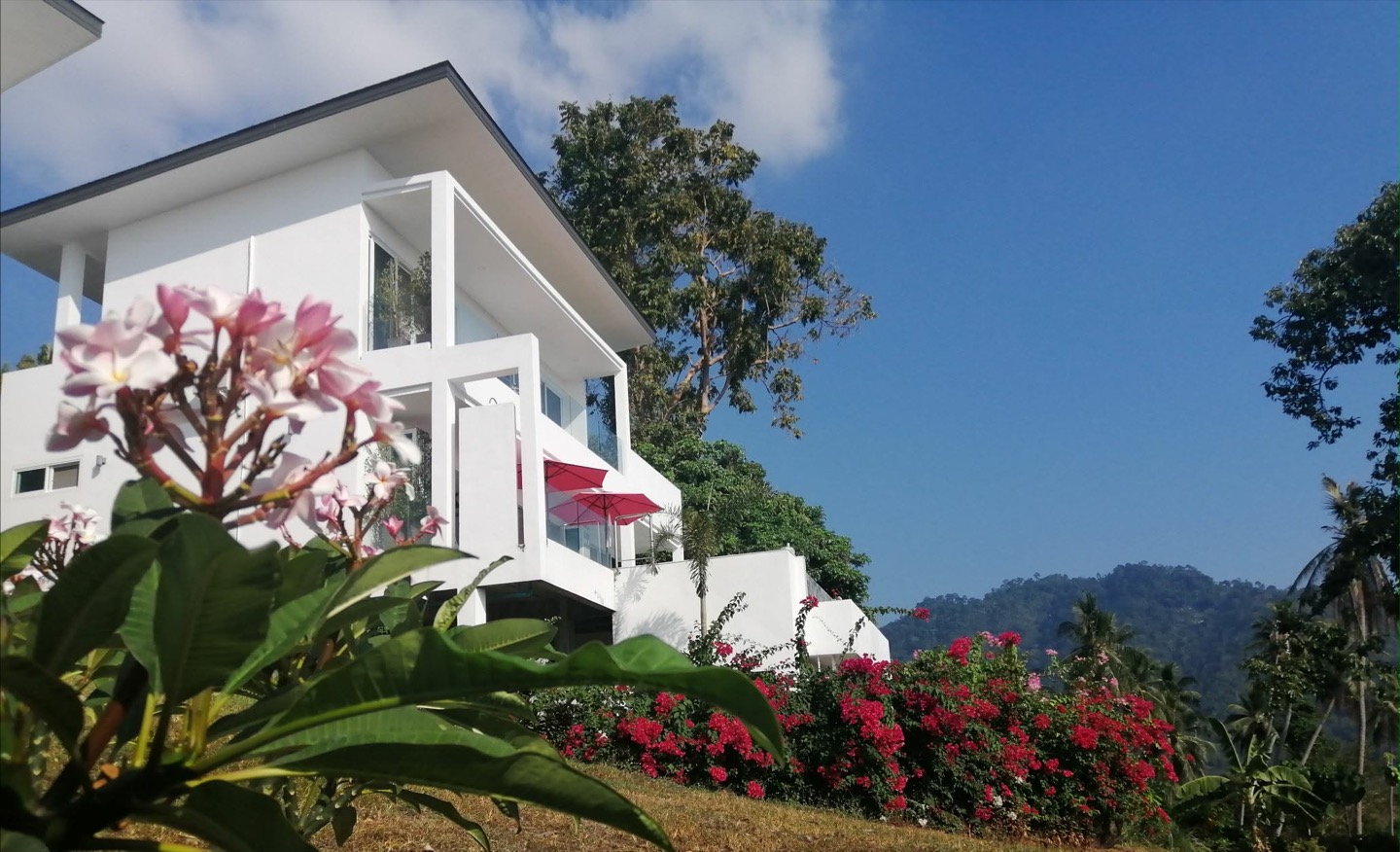 Multi Villa Property