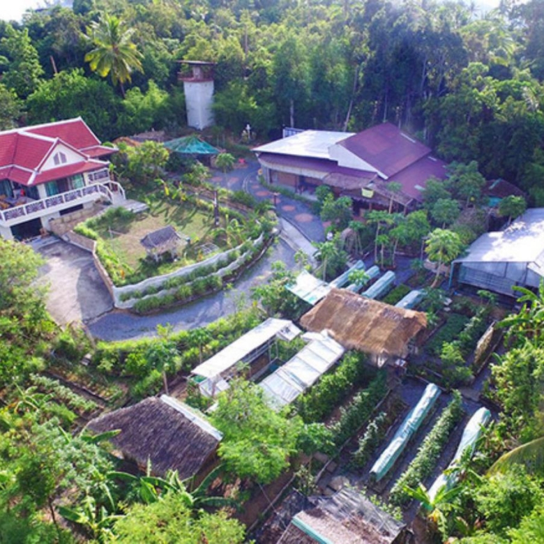 A Private Thai-Style Nature Sanctuary in Central Bangrak, Koh Samui