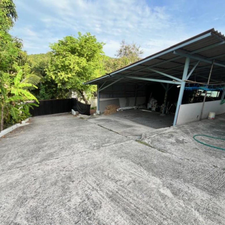 A Private Thai-Style Nature Sanctuary in Central Bangrak, Koh Samui