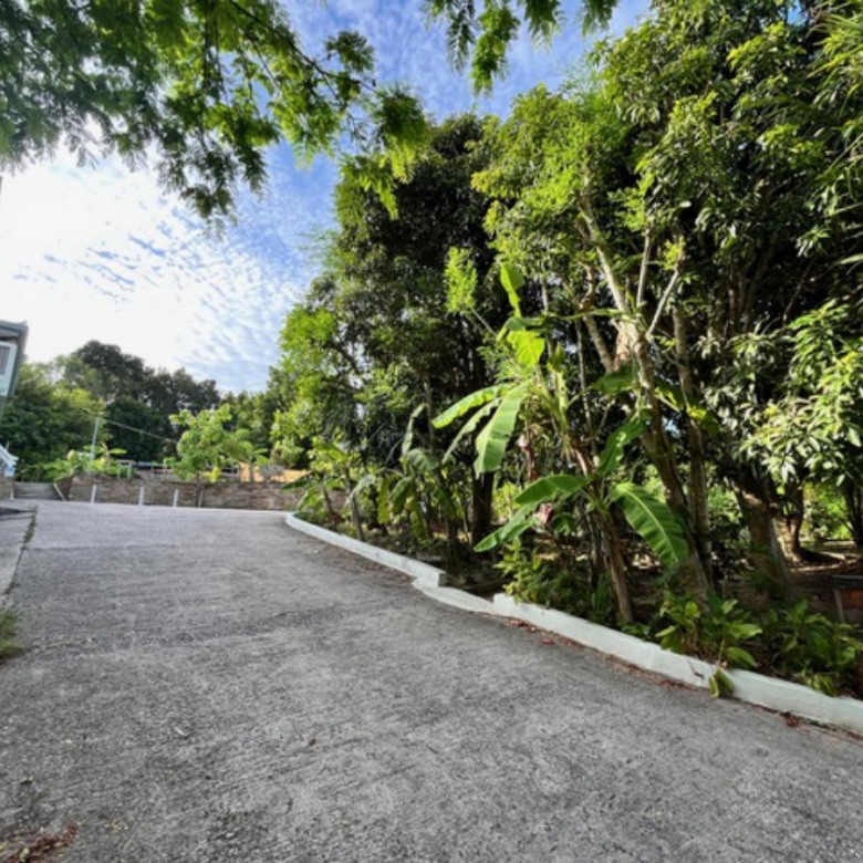 A Private Thai-Style Nature Sanctuary in Central Bangrak, Koh Samui