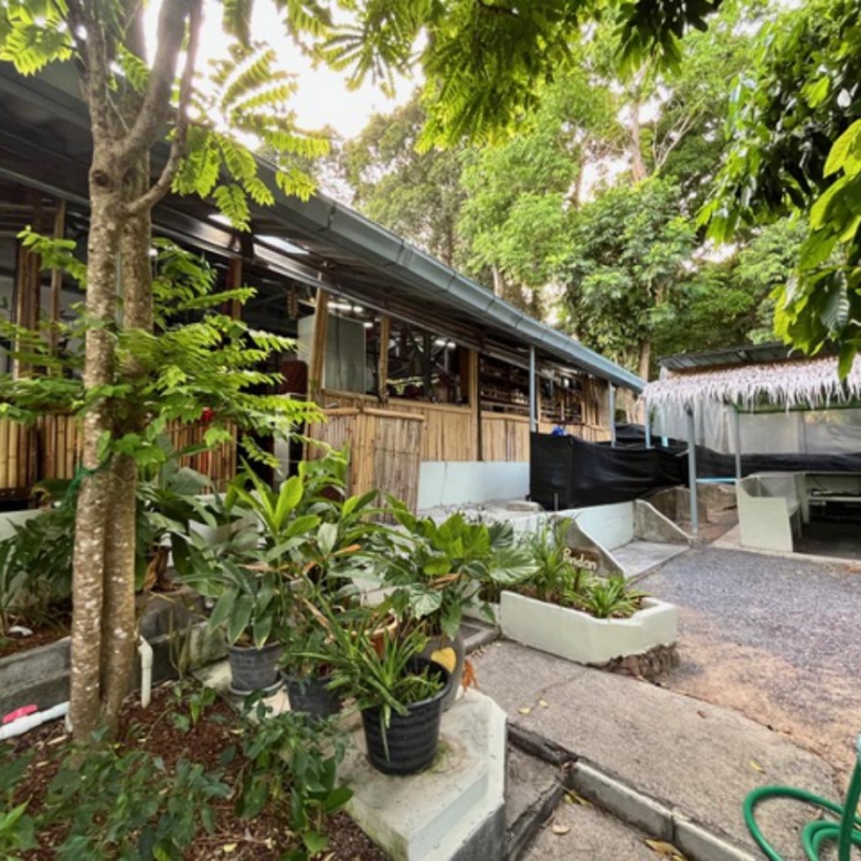 A Private Thai-Style Nature Sanctuary in Central Bangrak, Koh Samui