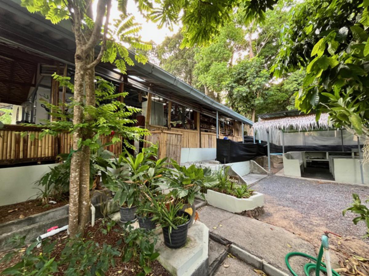 A Private Thai-Style Nature Sanctuary in Central Bangrak, Koh Samui