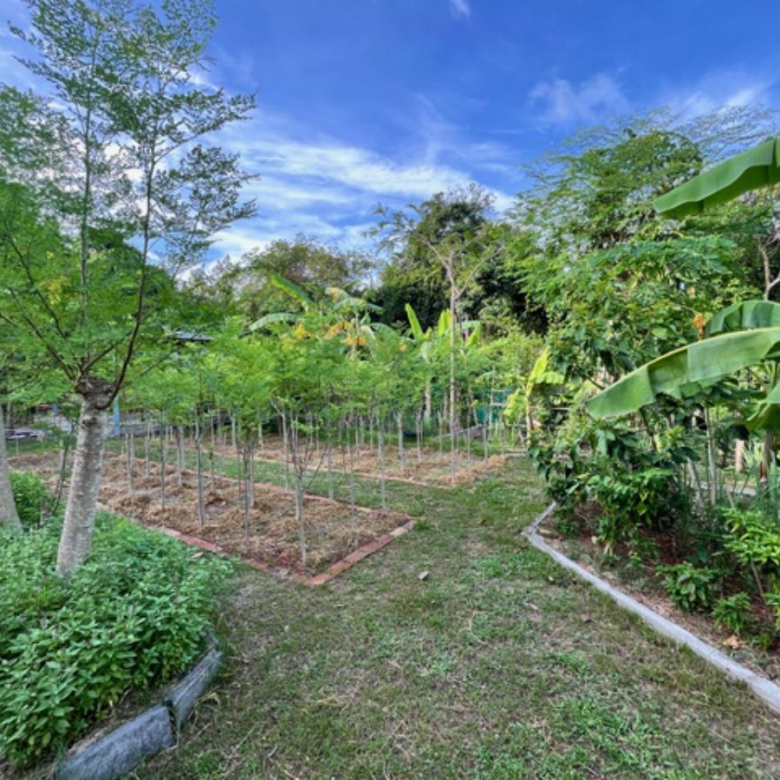 A Private Thai-Style Nature Sanctuary in Central Bangrak, Koh Samui