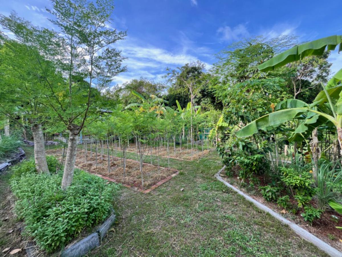A Private Thai-Style Nature Sanctuary in Central Bangrak, Koh Samui