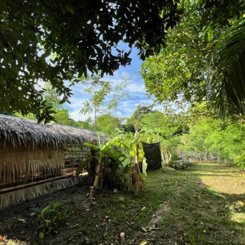 A Private Thai-Style Nature Sanctuary in Central Bangrak, Koh Samui