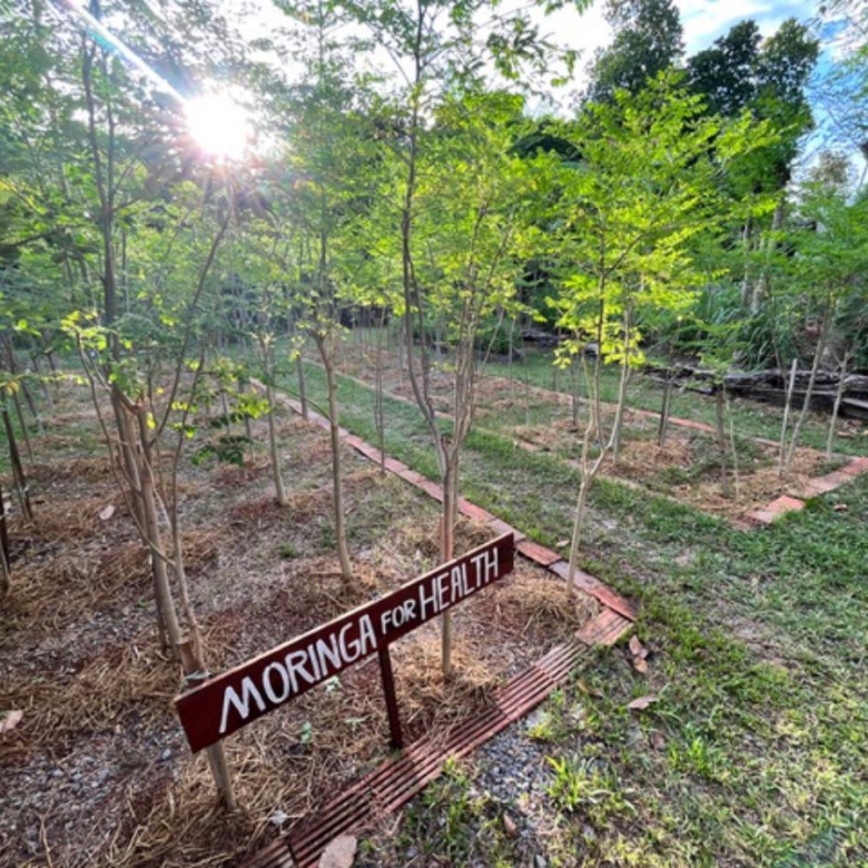 A Private Thai-Style Nature Sanctuary in Central Bangrak, Koh Samui