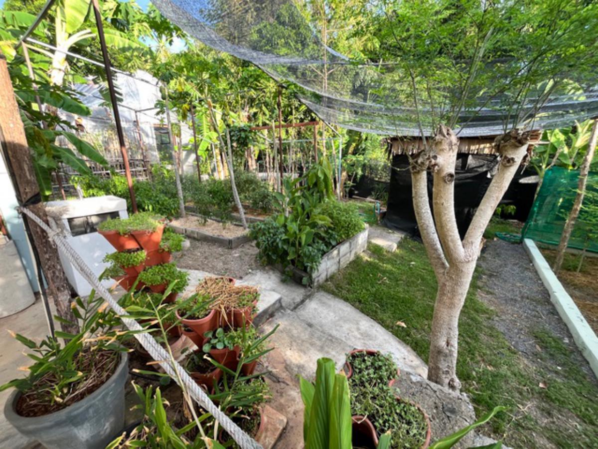 A Private Thai-Style Nature Sanctuary in Central Bangrak, Koh Samui