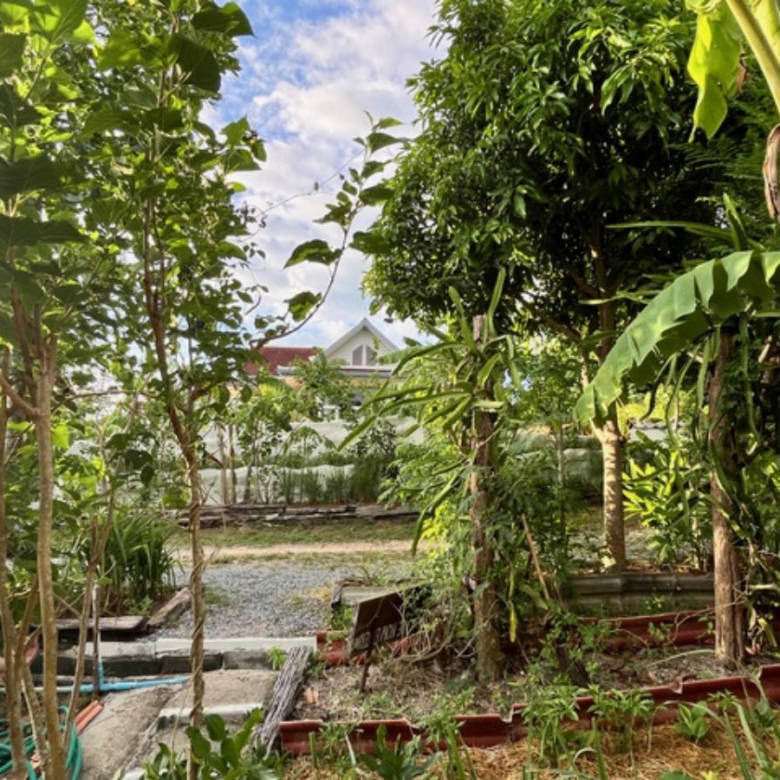 A Private Thai-Style Nature Sanctuary in Central Bangrak, Koh Samui