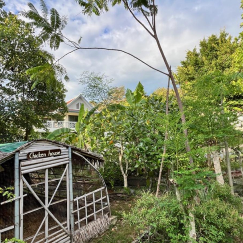 A Private Thai-Style Nature Sanctuary in Central Bangrak, Koh Samui
