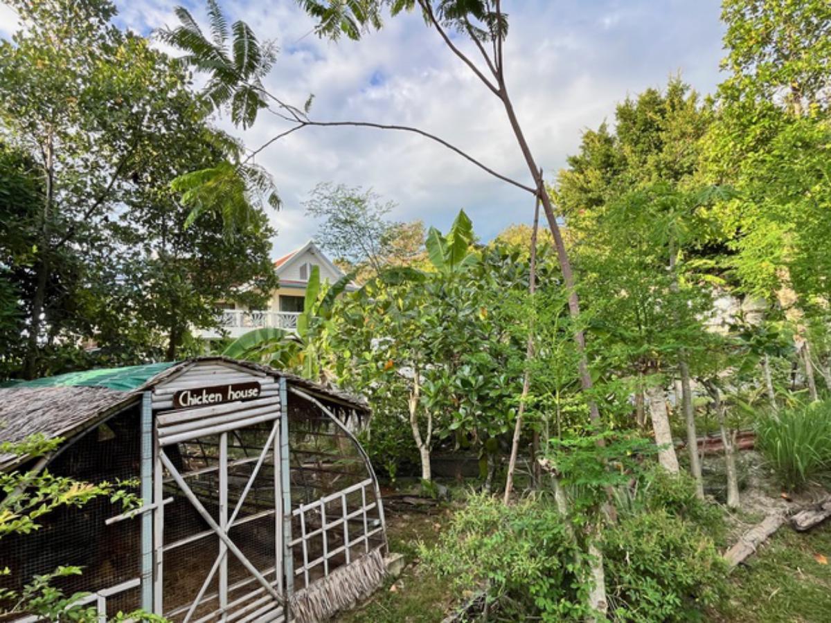 A Private Thai-Style Nature Sanctuary in Central Bangrak, Koh Samui
