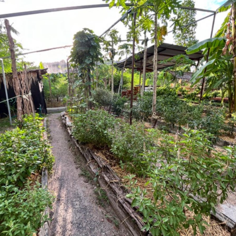 A Private Thai-Style Nature Sanctuary in Central Bangrak, Koh Samui