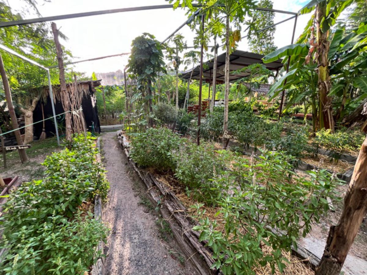 A Private Thai-Style Nature Sanctuary in Central Bangrak, Koh Samui