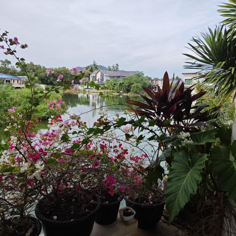 Lakefront Resort Investment for Sale